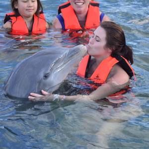 Meet your Posher, Carly